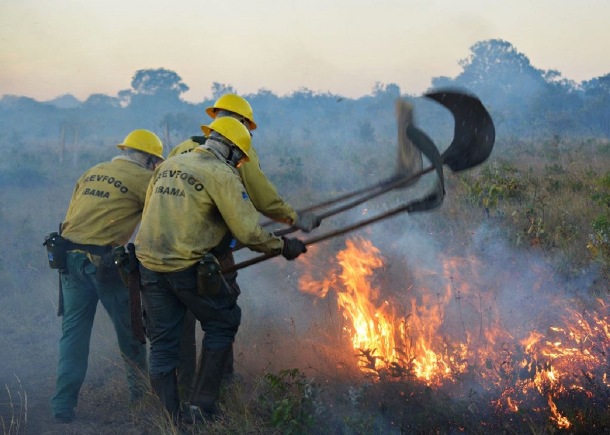 Brigadistas do Ibama apagam fogo em área ambiental