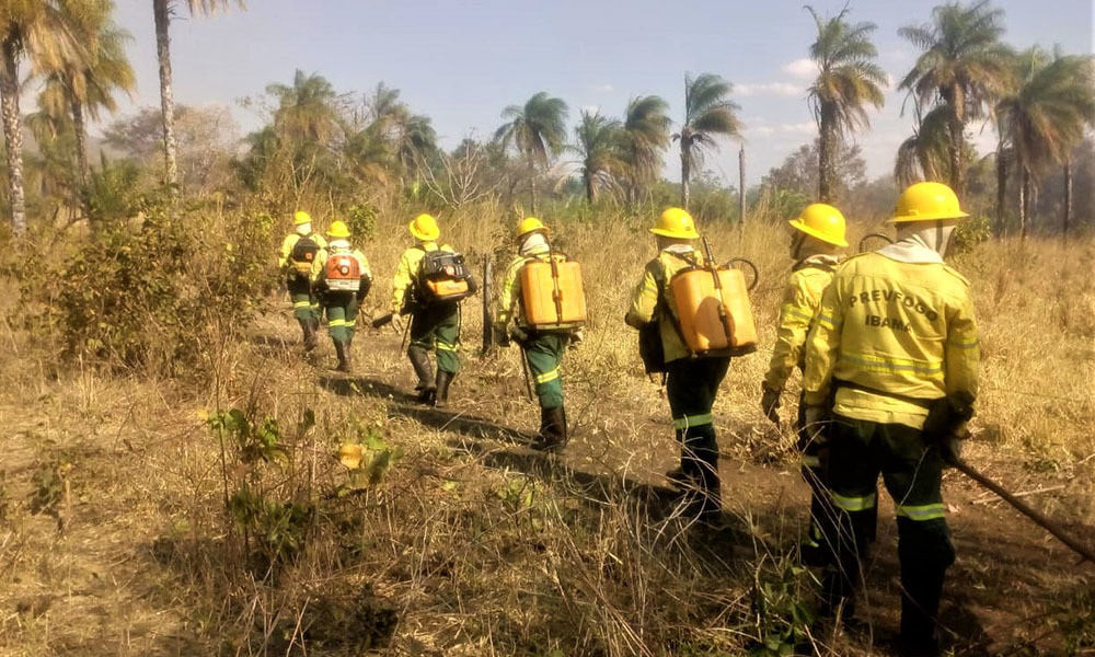 Brigadistas do Ibama em combate a incêndios