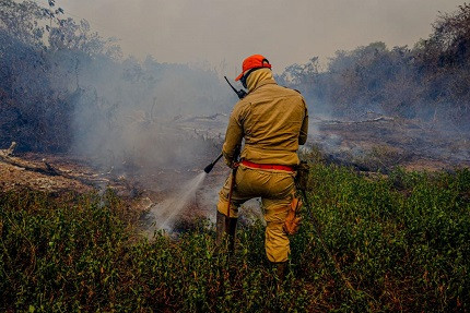 Bombeiros MT ajudam a conter os focos de incêndio no pantanal mato-grossense